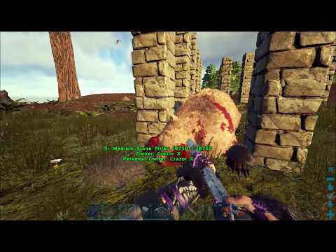 ARK--THE CENTER E5- DIREBEAR TAMING WITH A PILLAR TRAP