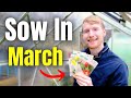 You MUST Sow These Seeds In March | Gardening For Beginners