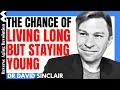 The CHANCE Of LIVING LONG But STAYING YOUNG Dr David Sinclair S Interview Clips