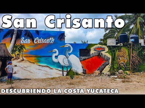 SAN CRISANTO, YUCATAN 🔥 Flamingos, Cenote, Beaches, Food, and much more 😍