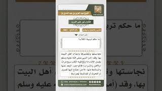 4581 -  حكم تربية الكلاب - نور على الدرب image