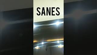 Download lagu NYATANE SAK SINGKAT-SINGKATE CERITANE | SANES SASYA ARKHISNA FT. DUO ONAR #shorts mp3