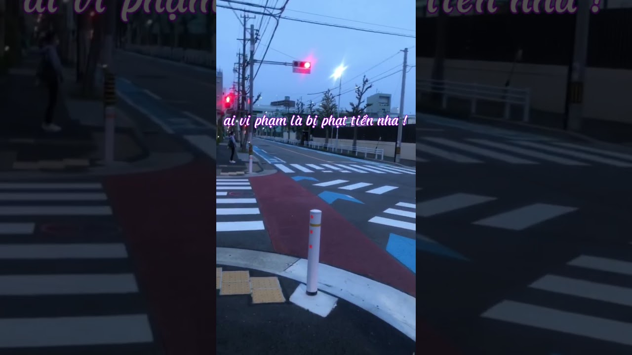 Luật Mới, Cho Ng Đi Xe Đạp Tại🇯🇵