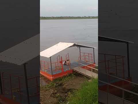 los encontré en el río Magdalena 😂 #destacar_reels #seguidores #viral