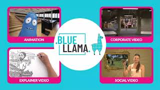 Blue Llama Media - Video - 2
