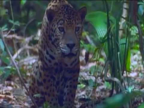 =*=*= 18 MINOUX =*=*= OME MIQUIZTLI = KIAUHMITL