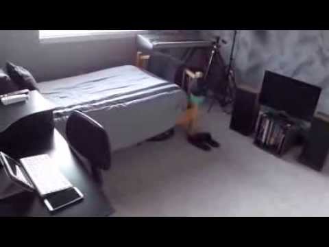 My Desk/Room Tour - Setup Tour Project 2014 (MKBHD) Video Response