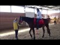 Бизнес тренинг с лошадьми ИСКУССТВО ЛИДЕРСТВА 