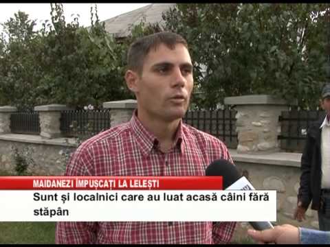 MAIDANEZI IMPUSCATI LA LELESTI