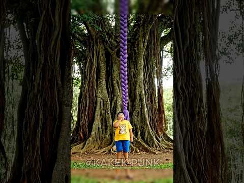 Rambut ungu punya rumi dari atas pohon, tapi endingnya