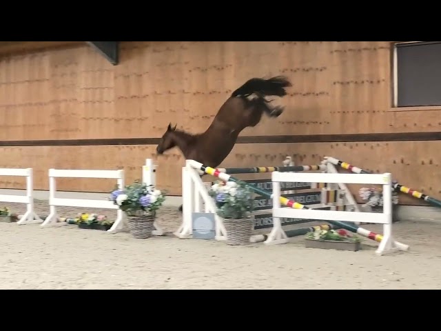 jumping