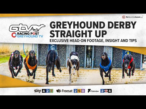 Greyhound Derby Final Straight Up | Greyhound Tips | RPGTV