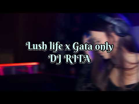 DJ RITA | LUSH LIFE X GATA ONLY