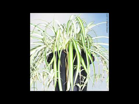 이강승(LEE KANG SEUNG) - Northwest side 48km