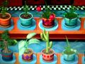 Plant Tycoon Magic Plant