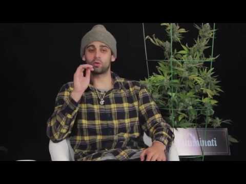 Between Two Strains -  Gold Teeth God