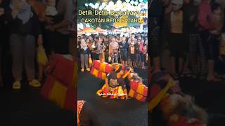 Download lagu REOG PONOROGO‼️Ngeri Cakotan Patah Reog Singo Kawula MUDHO #reog #reogponorogo #dadakmerak #barongan mp3 Download lagu REOG PONOROGO‼️Ngeri Cakotan Patah Reog Singo Kawula MUDHO #reog #reogponorogo #dadakmerak #barongan mp3