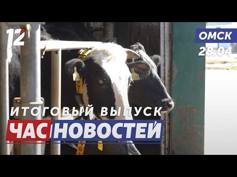 ИИ следит за коровами / Хирург без права ошибки / Премьера спектакля «Мама». Новости Омска