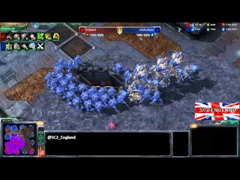 EGIdrA vs vGAnfield - ZvP