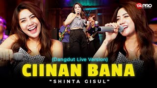 Download lagu CIINAN BANA - Shinta Gisul (Live Dangdut Lembayung Music) | Malu malu, Malu denai tamalu mp3
