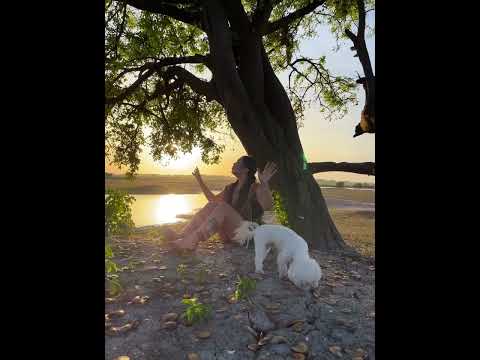 Rosangela Belisario - Mi Renuncia