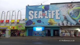 Blackpool Sea Life Centre and Blackpool Tower Eye 6th January 2019