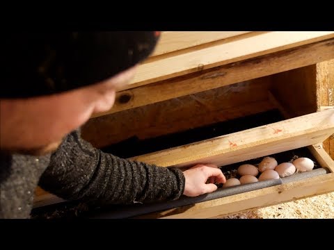 image-How high off the ground should nesting boxes be?