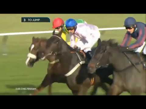 2016 Steel Plate And Sections Novices' Chase - Cheltenham Open