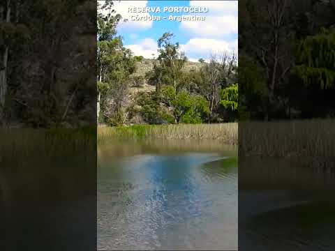 RESERVA PORTECELO #shorts #short #walk #portecelo #cordoba #villagiardino #argentina #tour #tourism