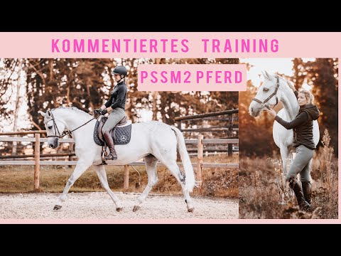 Training mit PSSM2 Pferd kommentiert I DAS mache ich anders I Cobies Entwicklung trotz Krankheit