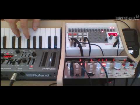 Drum'N'Bass with Roland SH01a / Volca Bass / Volca Sample / Mini KP2s