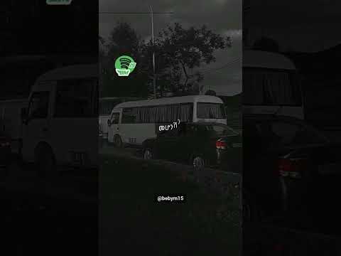 እውነቱን ንገሪኝ #lyrics #duet #music