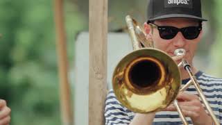 JUNGLE BY NIGHT   The Monkey Sessions