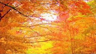 Dreamcatcher-Secret Garden (Lyrics-Autumnal effects)