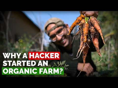 Why this techie started an organic farm in India? | Robin Singh life story