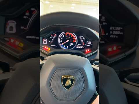 Purple Lamborghini LOUD startup