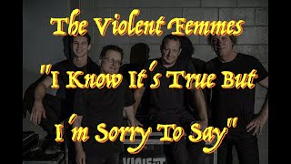 The Violent Femmes - “I Know It&#39;s True But I&#39;m Sorry To Say” - Guitar Tab ♬