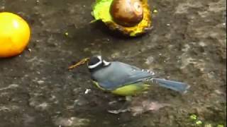 Download lagu They know what is good mp3