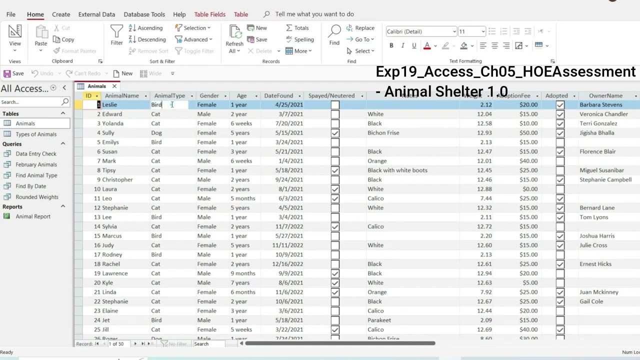 Exp22_Access_Ch05_HOEAssessment_Animal_Shelter | Access Chapter 5 Hands-on Assessment Animal Exp25