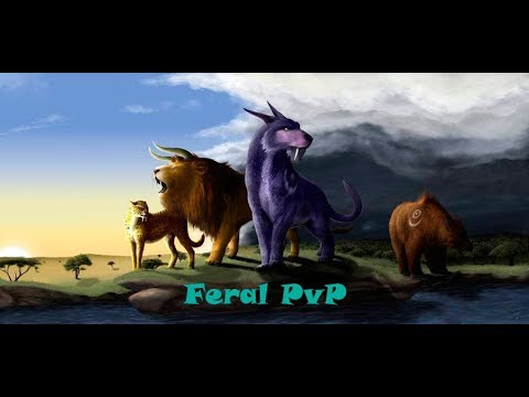 Panda Wow 5.4.8 Feral pvp