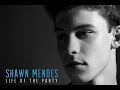 Shawn Mendes - One of those nights (Audio ...