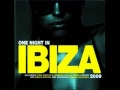 Give Me One Night In Ibiza Remix 