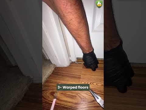 3 Hidden Moisture Signs That Lead to Mold in Homes