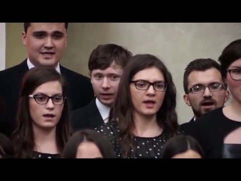 Amicus Tg Mures - Totul sau nimic