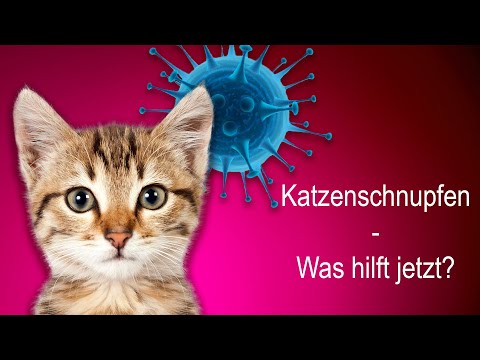 Die Behandlung der Schuppenflechte den Kindern Das Ekzem beim Schweißer
