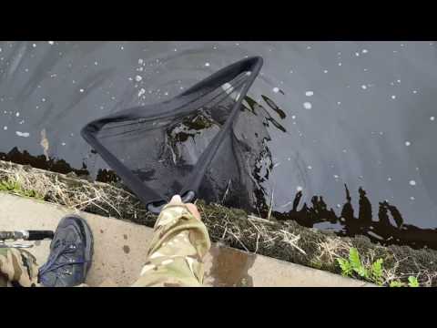 ManyPockets' magnificent pike at Linton Lock