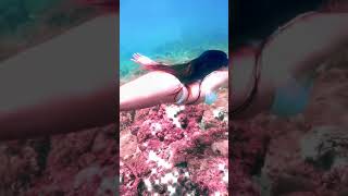 Tiktok Gái Xinh Bikini ❤️ Những Clip Tiktok Triệu View ❤️ Mejores Tik Tok Chinese Girls  #Shorts