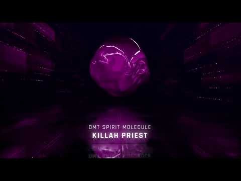 Killah Priest - DMT Spirit Molecule