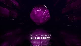 Killah Priest - DMT Spirit Molecule