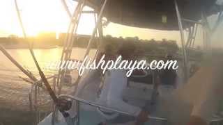 preview picture of video 'Pesca Playa del Carmen Choco Pooles en la Flyin Fish Jun 21'